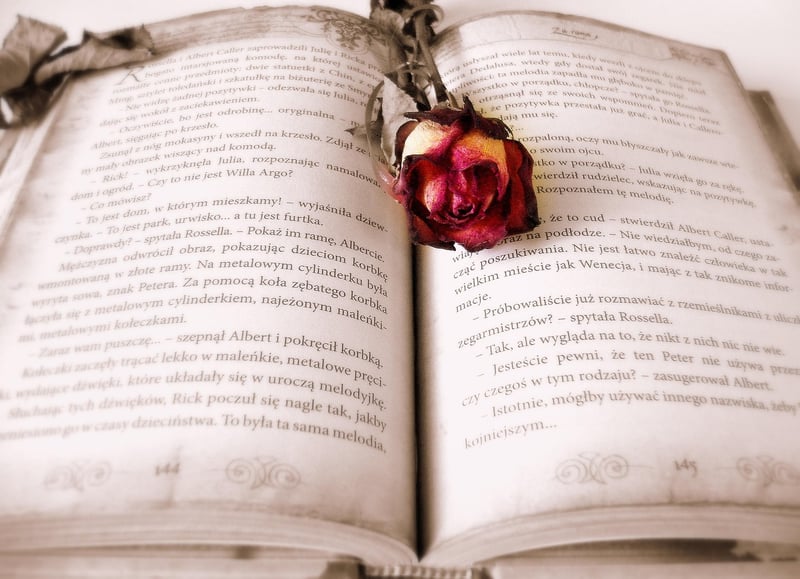Secret Societies in Fiction